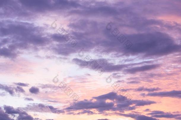 彩色粉笔音关于天日落也许云云粉红色的紫色的莱文