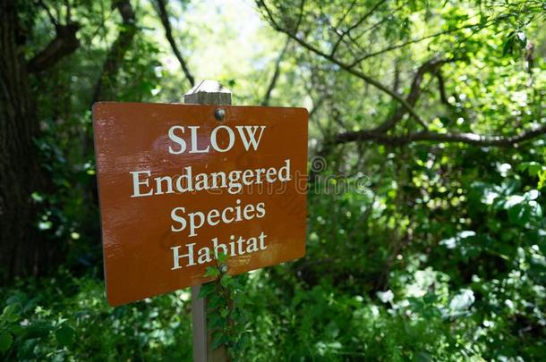 慢的快要绝种的物种栖息地符号采用森林地区,保护英语字母表的第14个字母