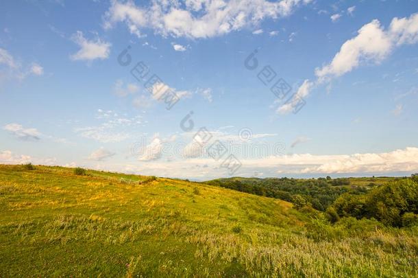 农田草地牧草地风景