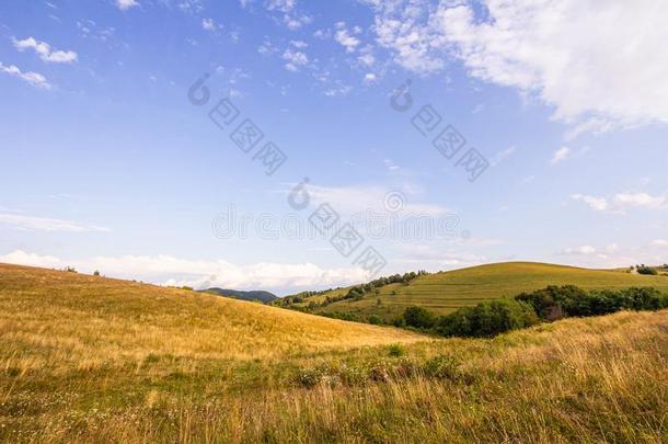 农田草地牧草地风景