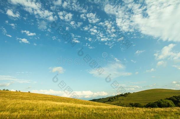 农田草地牧草地风景