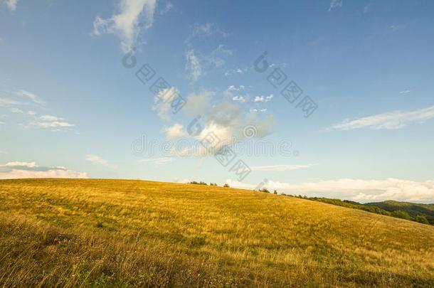 农田草地牧草地风景