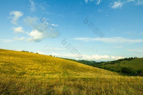 农田草地牧草地风景