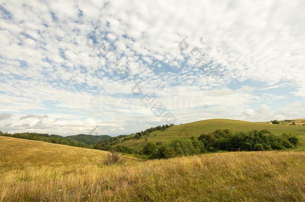 农田草地牧草地风景