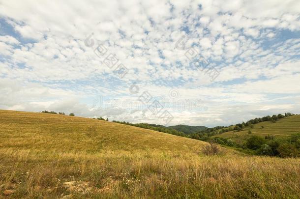 农田草地牧草地风景