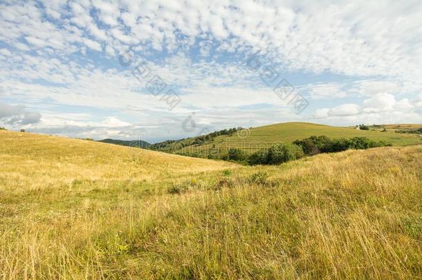 农田草地牧草地风景