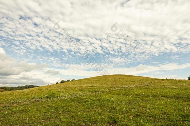 农田草地牧草地风景