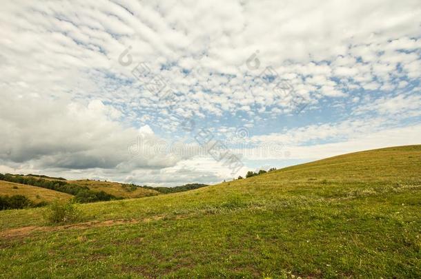 农田<strong>草地</strong>牧<strong>草地风景</strong>