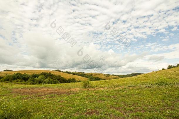 农田草地牧草地风景