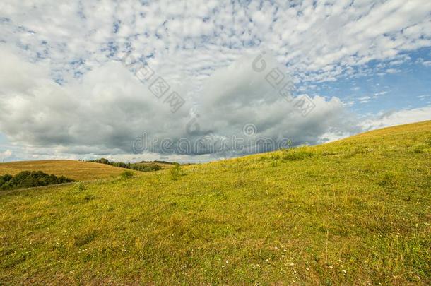 农田草地牧草地风景