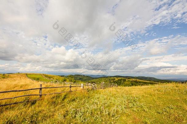 农田草地牧草地风景