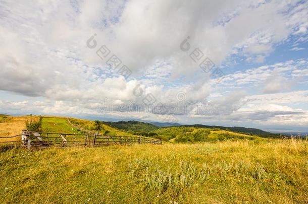 农田草地牧草地风景