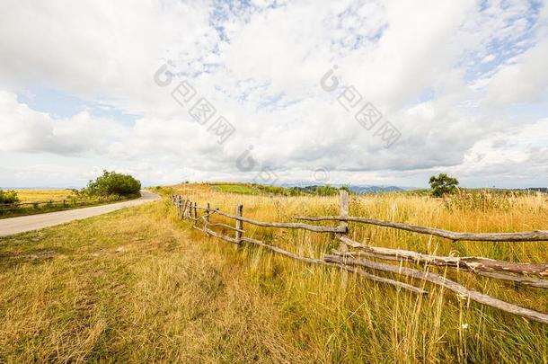 农田草地牧草地风景