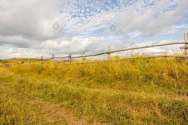 农田草地牧草地风景