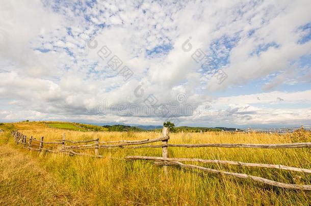 农田草地牧草地风景