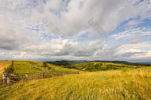 农田草地牧草地风景