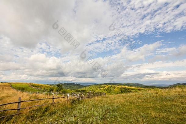 农田草地牧草地风景