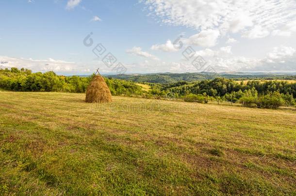 农田草地牧草地风景