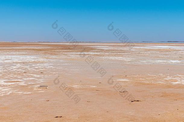 湖Maclead干旱的盐湖采用西方的澳大利亚海市蜃楼在horizon地平线