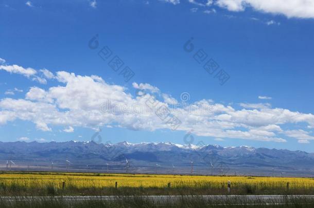 草原风景采用Q采用ghai