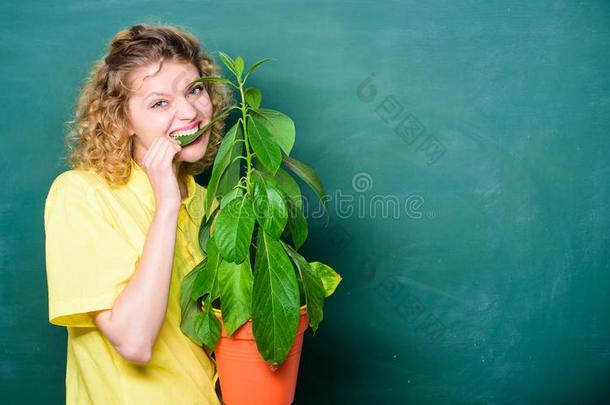 容易的室内植物.植物学是（be的三单形式关于植物花和草本植物.拿