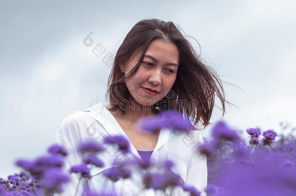 女人采用指已提到的人马鞭草属植物田是bloom采用g