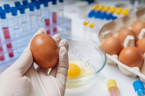 科学家是（be的三单形式佃户租种的土地鸡蛋采用手采用实验室.食物test采用g反对票