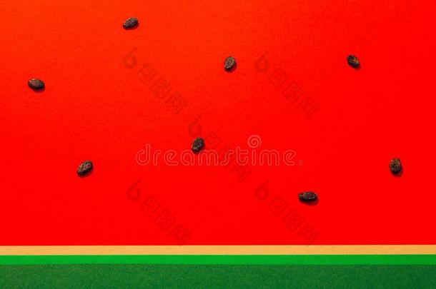 夏季最小的观念.西瓜种子向红色的和绿色的爸