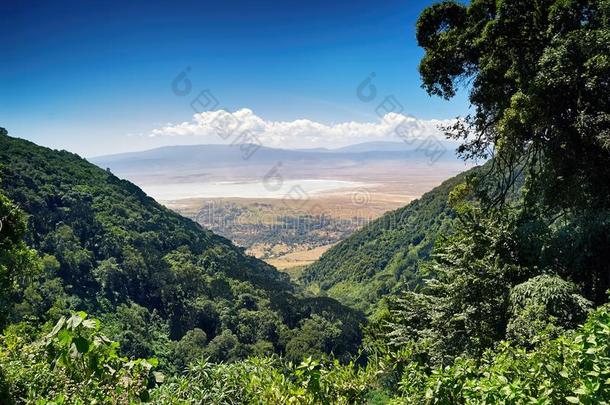 美丽的影像关于恩戈龙戈罗火山口,采用坦桑尼亚