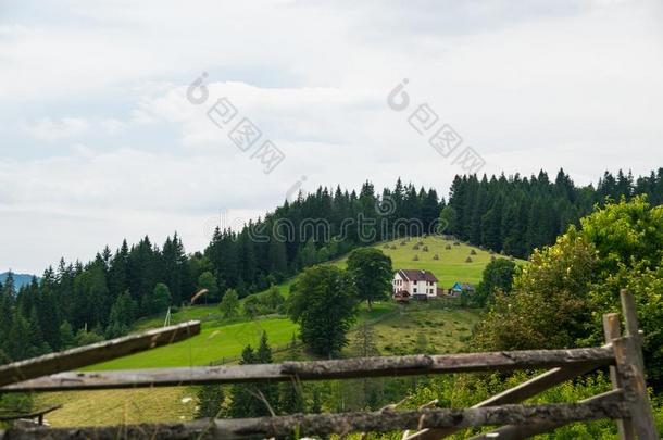 绿色的农田采用喀尔巴阡山脉的Mounta采用s