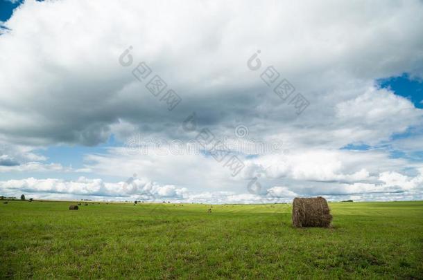 收割农业的田.<strong>秋</strong>,<strong>夏</strong>风景