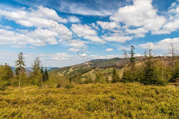 春季贝斯基德斯拉斯基山风景和Skycze小山我