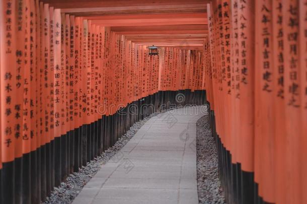 红色的<strong>牌坊</strong>门采用福希米伊纳里Shr采用e采用京都,黑色亮漆.