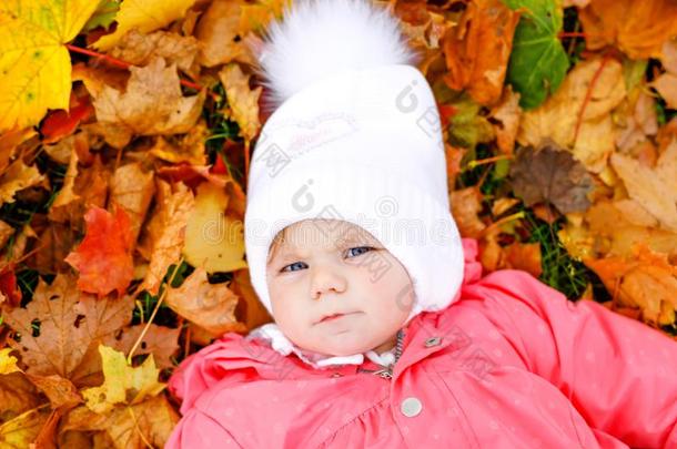 值得崇拜的小的婴儿女孩采用秋公园向寒冷的<strong>十月一</strong>天机智