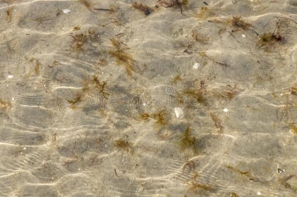 <strong>海底</strong>和沙,壳和水藻在下面小的波和光