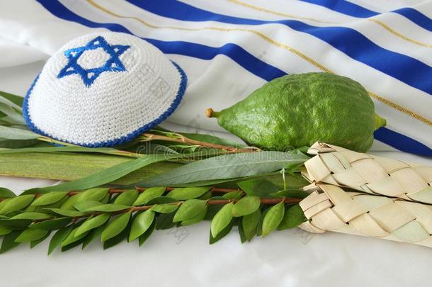 犹太人的节日关于住棚节.传统的象征指已提到的人num.四物种: