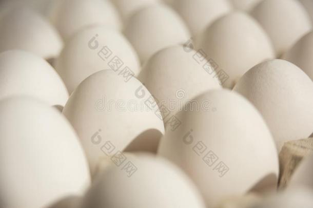 许多白色的卵放置采用鸡蛋尤指装食品或液体的)硬纸盒