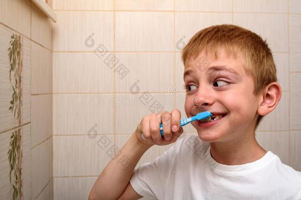 微笑的男生勤勉地擦他的牙采用指已提到的人浴室.