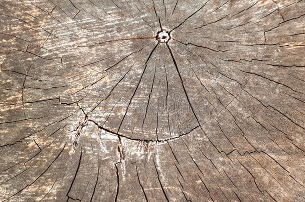 木材背景,木纹