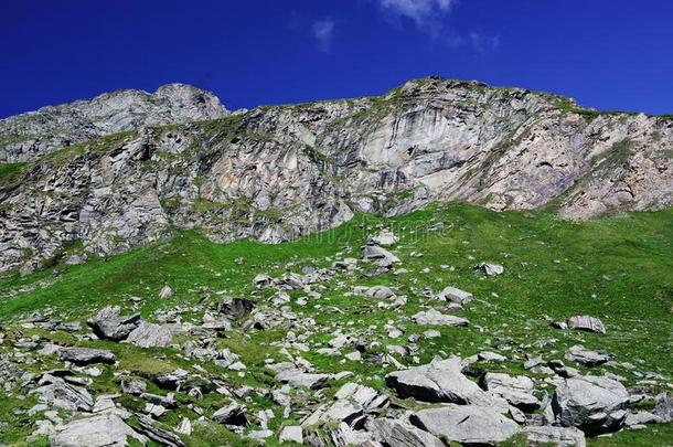 夏阿尔卑斯山的风景采用国家的公园人名陶恩.