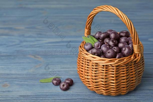 柳条篮关于新鲜的阿萨伊浆果向蓝色木制的表