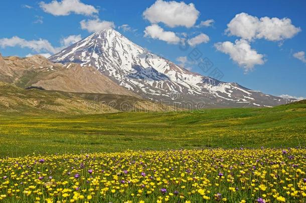 达马万山和花田