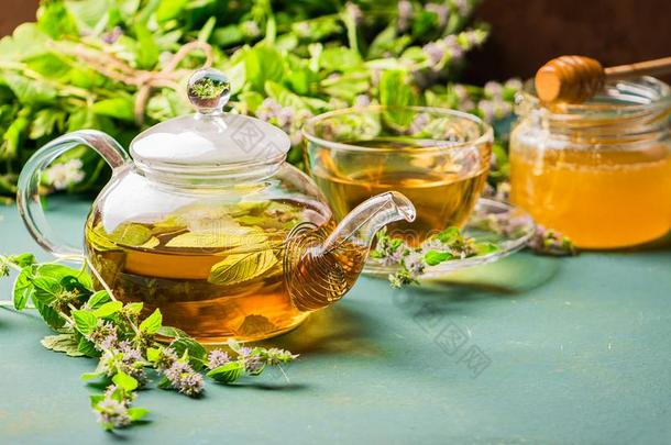 茶水和新鲜的树叶关于柠檬香油薄荷杯子和茶壶向一上游阻力