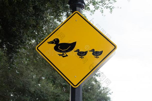 黄色的鸭子家庭人行横道符号