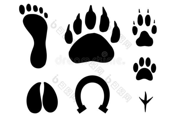 矢量平的黑的放置关于动物脚照片