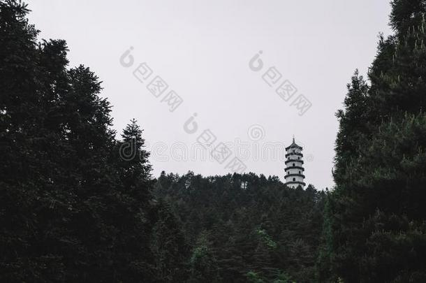 塔向明月山,江西,中国