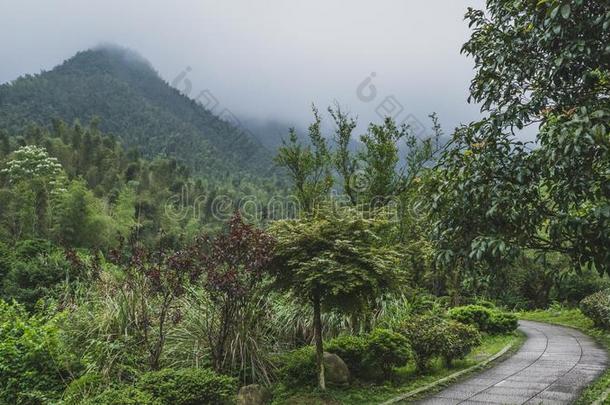 明月山,江西,中国