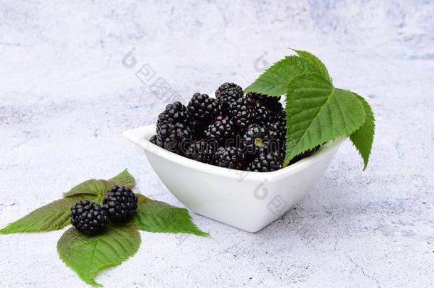 详述关于黑莓.多汁的和新鲜的个人简历黑莓从USSR苏联
