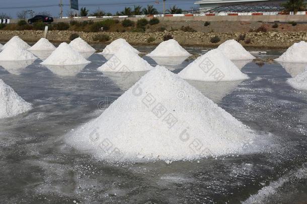 海盐农场采用泰国