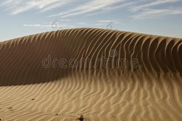 沙沙丘和使泛起涟漪模式
